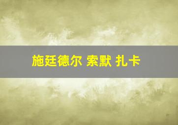 施廷德尔 索默 扎卡